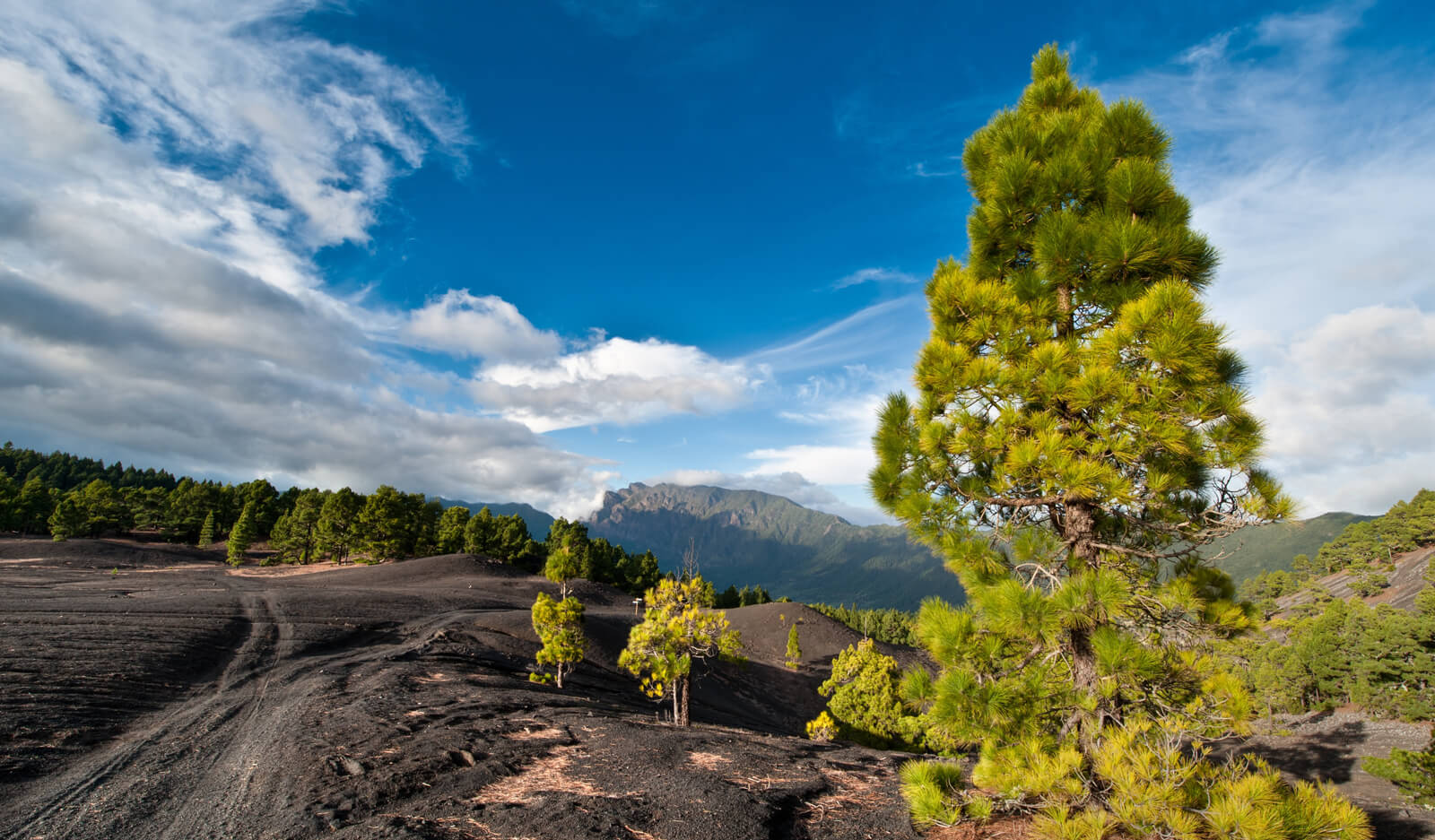 La Palma Pauschalreise Angebote 2023/24 Tipps und Infos