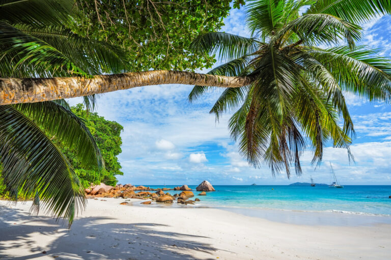 Strandurlaub Buchen Strand Pauschalreise Angebote 2023 7853